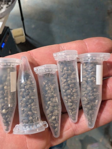 outdoor — harvest, day 172