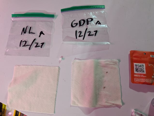 first grow - autoflower — germination, day 9