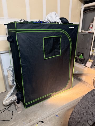 Gorilla Runtz — grow_setup, day 1