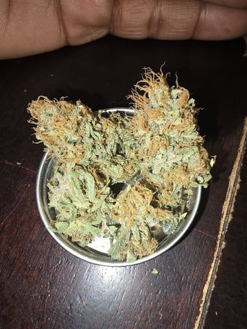 Platnium Jelly — done, day 146