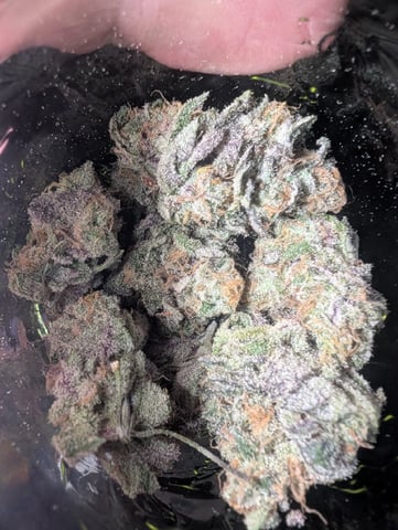 B E A utiful  — done, day 147