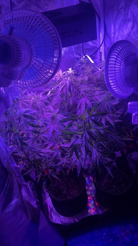 On to the next journey.  — vegetative, day 138