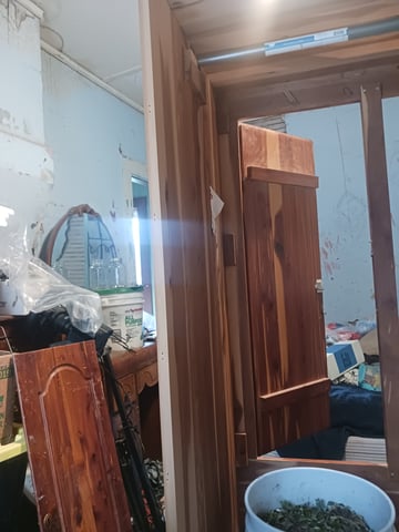 first time hydropontic grow of autoflower and non autoflower — grow_setup, day 1