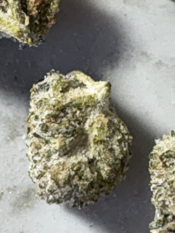 northern Lights “AUTO’S”