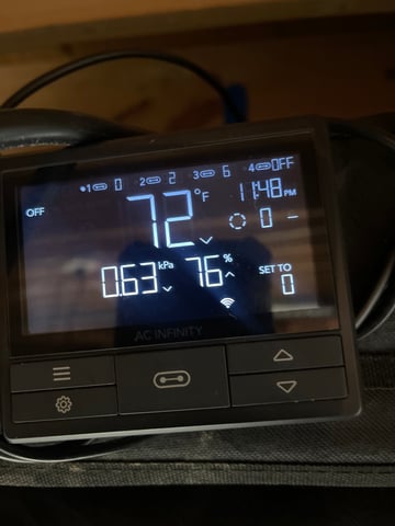 1st Ever Grow (Fat Bastard)(RDWC)  — germination, day 1