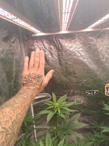 TEAM FULL AUTOS