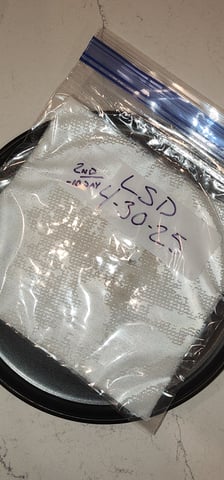 Here We Grow... — germination, day 12