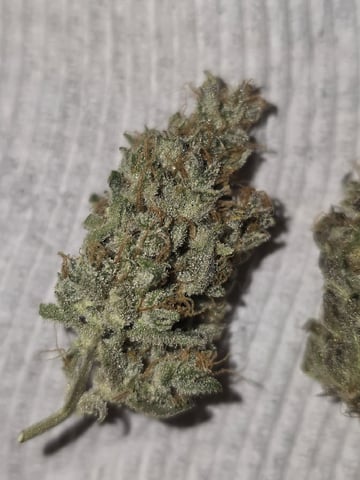 Autos AGAIN