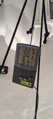 First Grow with the new setup  — auto, day 37