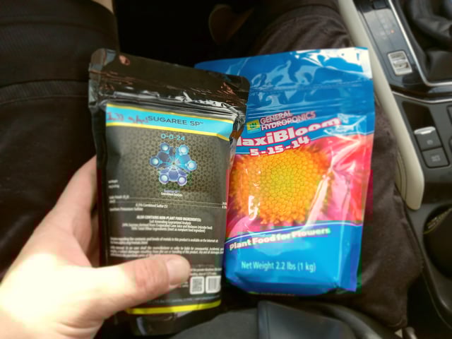 closet grow for veg with a.c infinity air intake fan .With no carbon filter just suction,and spider farmer sf 7000.Then a spider farmer sf tent 4×4×6.5with a G1500 l.e.d from spiderfarmer and spider farmer 6inch clip oscalating fan. — vegetative, day 20