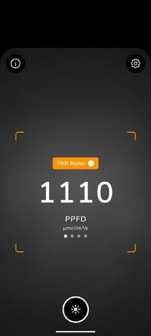 Perpetual Autoflower Mixed Grow #3 — flower, day 105