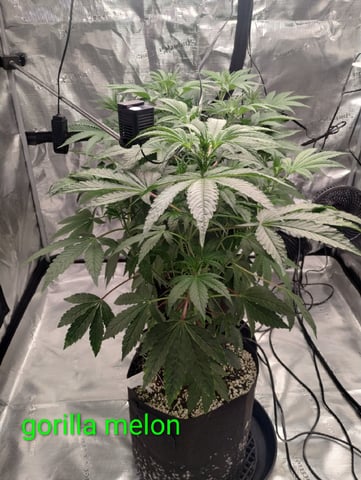Photo Time📸🕞 — flower, day 58