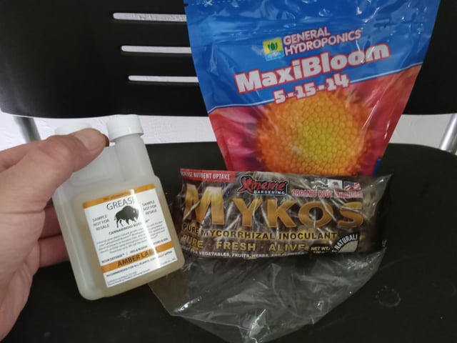 closet grow for veg with a.c infinity air intake fan .With no carbon filter just suction,and spider farmer sf 7000.Then a spider farmer sf tent 4×4×6.5with a G1500 l.e.d from spiderfarmer and spider farmer 6inch clip oscalating fan. — flower, day 50