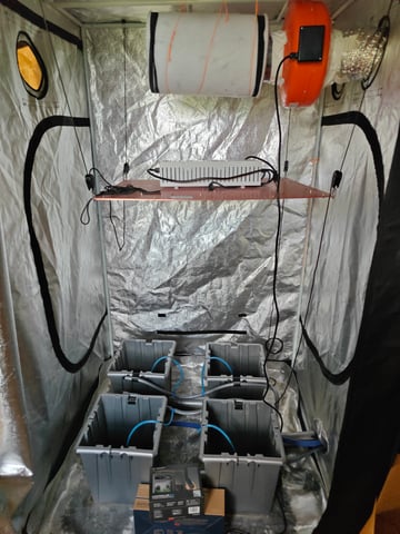 indoor grow 1 — grow_setup, day 1