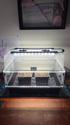 ethos genetics  — grow_setup, day 2