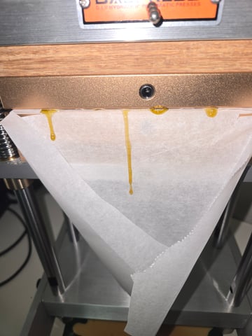 Fastbuds Autoflower Run