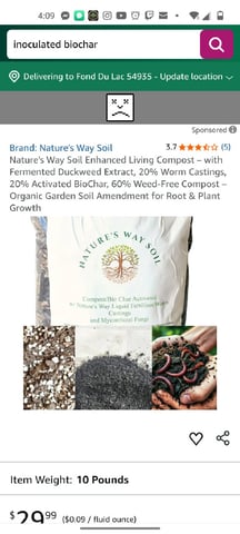 autos — germination, day 31