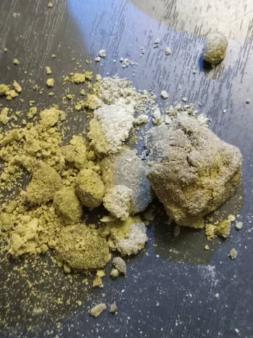 critical purple kush x peyote wifi  in the auto pot system tray 2 grow with added microhazian to the coco coir  — flower, day 57