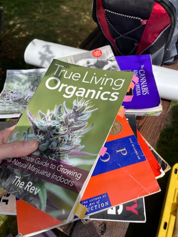 testing — none, day 35