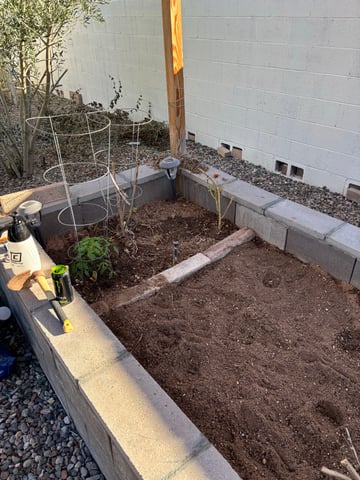 3 seeds  — grow_setup, day 1