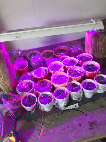 jay seaton  — done, day 249