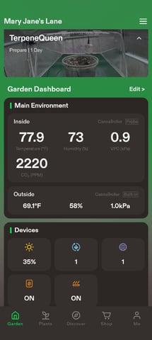 FastBuds Gorilla Melon  — grow_setup, day 2