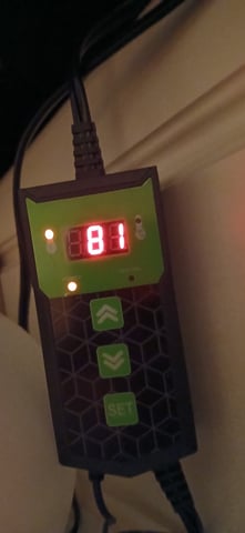 Summer Peppers — grow_setup, day 1