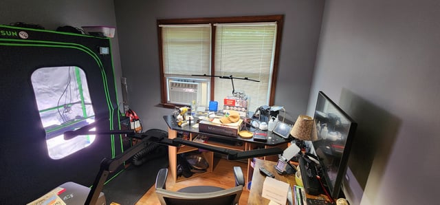 WHAT THE HELL JUST HAPPENED!!! — grow_setup, day 9