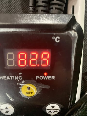 Papaya Frosting  — seedling_rooting, day 10