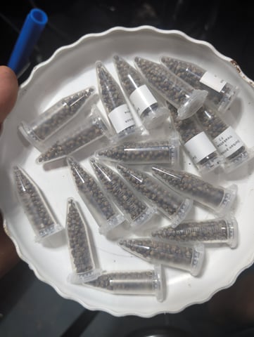 outdoor — done, day 180