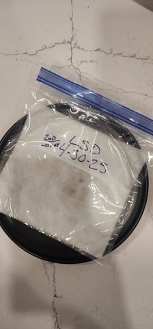 Here We Grow... — germination, day 12