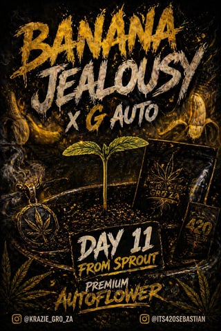 Bannana Jelousy x Guava Auto