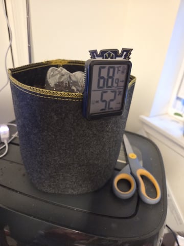 Ripley OG — seedling_rooting, day 2