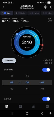 Purple Haze  — flower, day 52