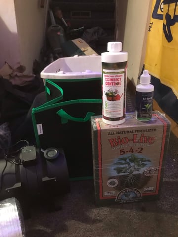 jay seaton  — done, day 239