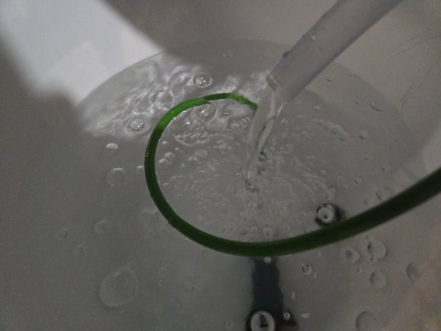 First Grow — flower, day 67