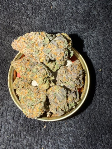 indoor tent  — vegetative, day 17