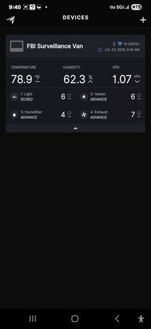 Purple Haze  — flower, day 59