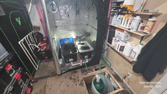 RDWC system with ebb and flow principals, using only 1 air pump. — grow_setup, day 1