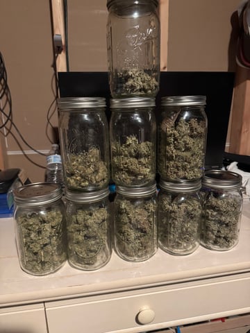 wedding cake auto FIRST GROW!