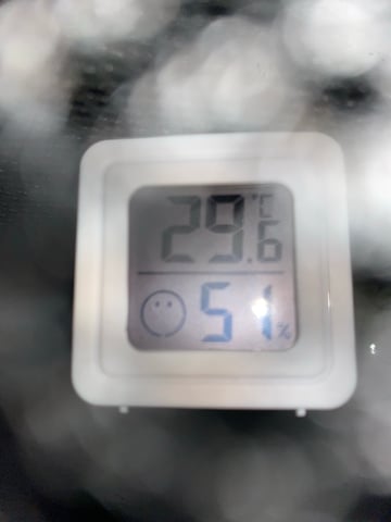 pineapple Express  — none, day 43