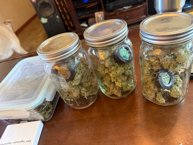 Blue Dream — done, day 121