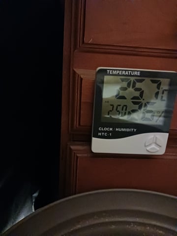 4th grow  — seedling_rooting, day 132