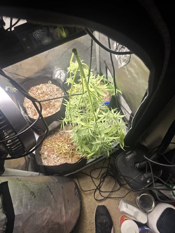 Indoor