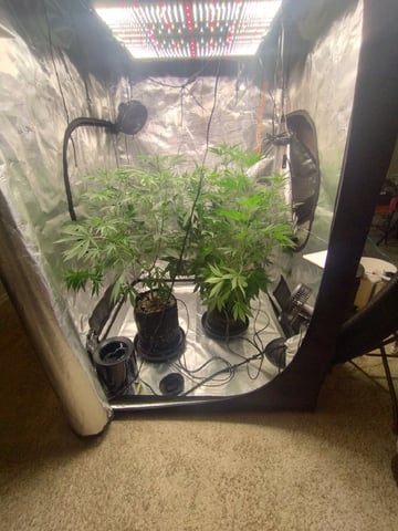 Photo Time📸🕞 — flower, day 66