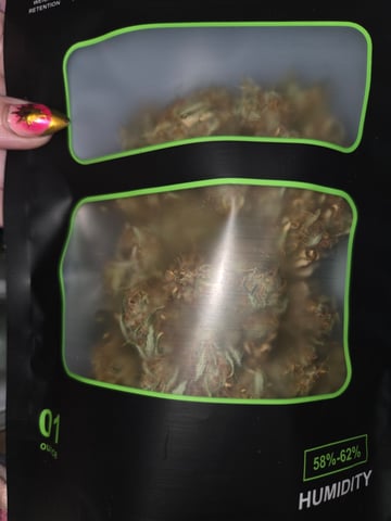 Experiment Time — done, day 92