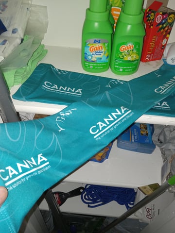 critical purple kush x peyote wifi  in the auto pot system tray 2 grow with added microhazian to the coco coir  — vegetative, day 45