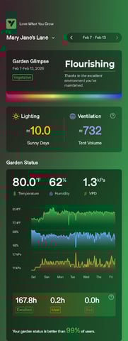 FastBuds Photo-Lemon Mandarin  — vegetative, day 68