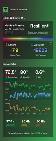 Round 1 — seedling_rooting, day 18