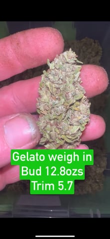 Indoor Grow  — flower, day 76